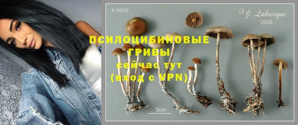 стафф Михайлов
