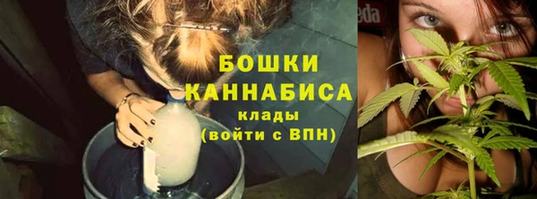 стафф Михайлов