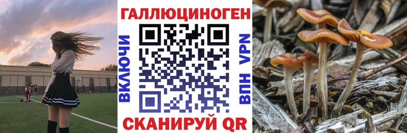 Псилоцибиновые грибы мухоморы  blacksprut вход  Фёдоровский 